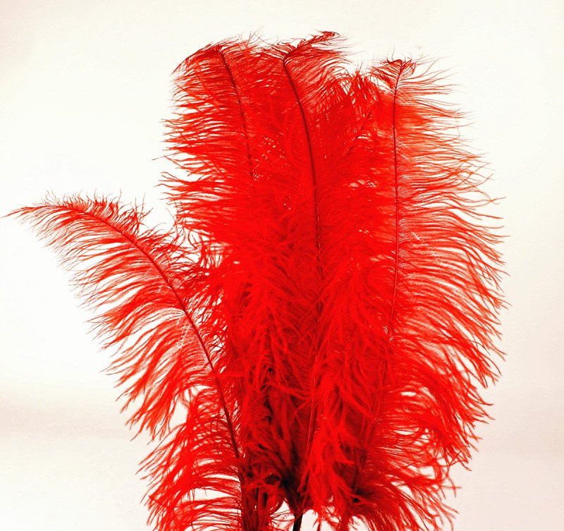 Picture of Ostrich Feathers Red x 5 pcs